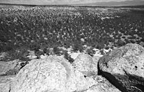 Tsankawi, Bandelier National Monument, New Mexico